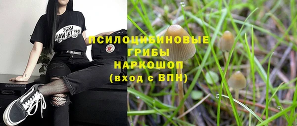 mdpv Зеленокумск