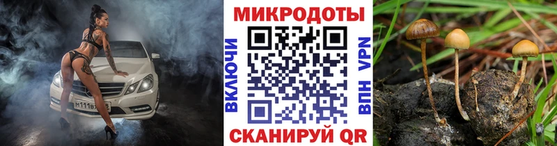 Галлюциногенные грибы Psilocybine cubensis  Купить закладки  Катайск 